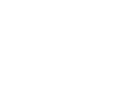 MG-Press-Logo-ORF