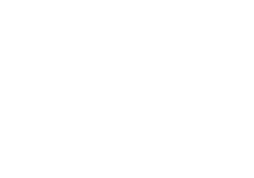MG-Press-Logo-20-min