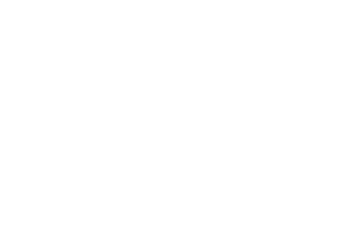 MG-Press-Logo-Puls4